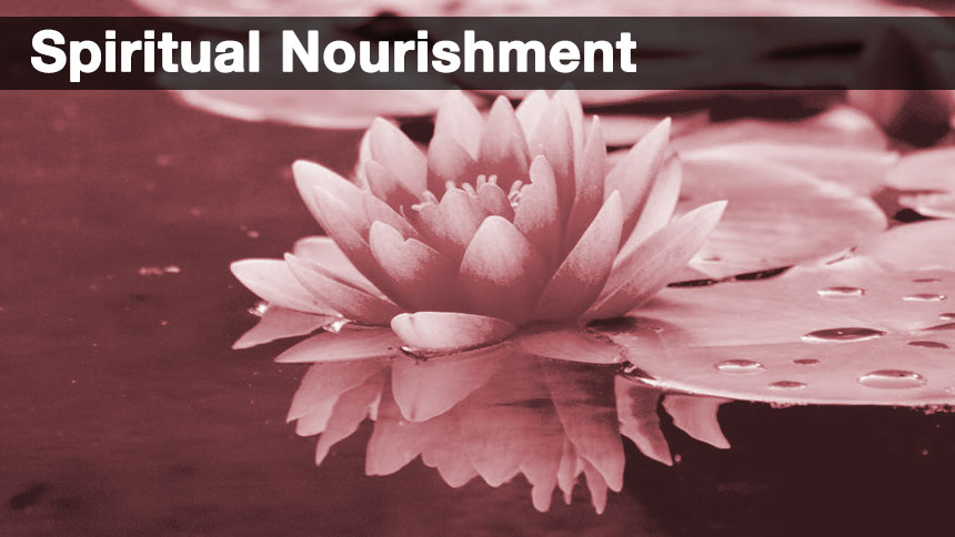 A lotus flower floating on the water with the words spiritual nourishment at the top in white